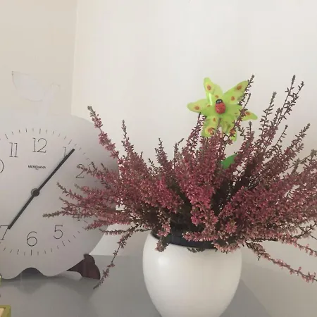Pompei Apartament *